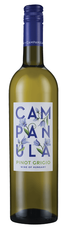 Campanula Pinot Grigio 2021