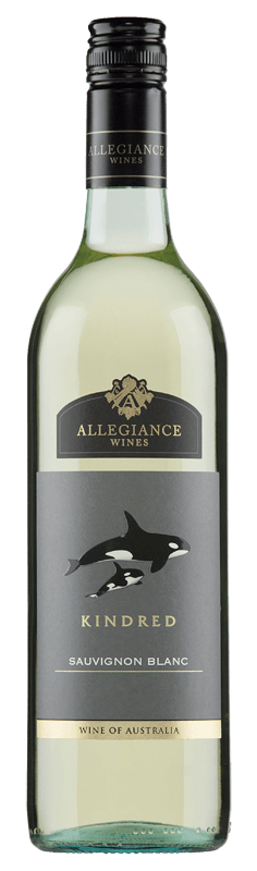 Allegiance Wines Kindred Sauvignon Blanc 2024