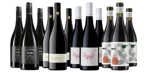 High-scoring SA Grenache Showcase Dozen